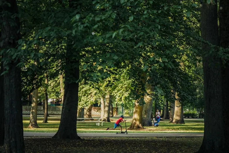 Riga im Sommer - Picknick im Park