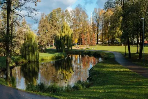 Pārdaugavas apkaimes ceļvedis - Uzvaras un Arkādijas parks, Māras dīķis